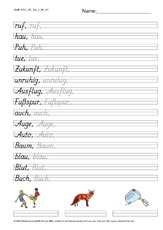 DSS_2S_Bu_u_Nr_03.pdf